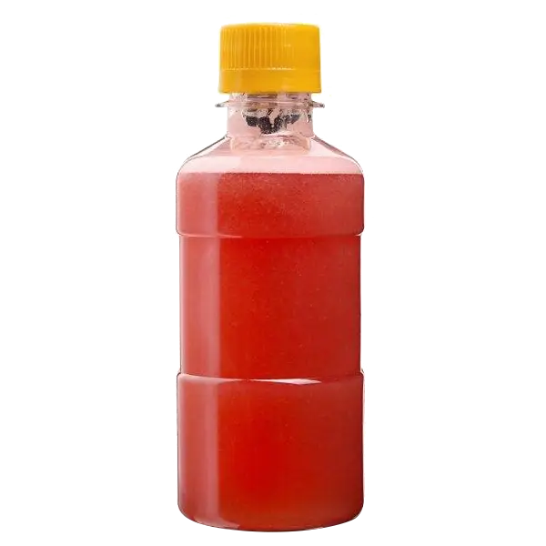 Изображение Грейпфрутовый фреш